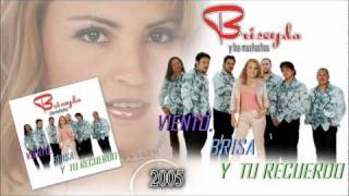 Briseyda Solis  Amigos Nadamas Audio Oficial [upl. by Cecelia337]