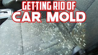 Getting Rid Of Terrible Mold In My Car With White Vinegar [upl. by Noscire]