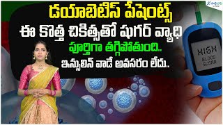 What is the latest cure for type 2 diabetes  How to control diabetes  Health tips  Sakshi Life [upl. by Aneehsal]