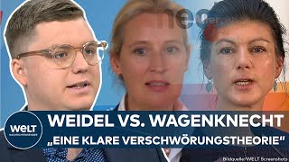 WELT TVDUELL Frontfrauen Wagenknecht vs Weidel So diskutieren AfDMitglieder über BSWChefin [upl. by Aremihc]