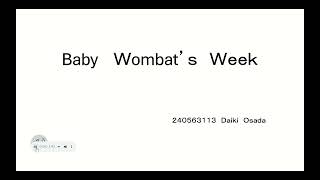 Baby Wombats Week [upl. by Marzi731]