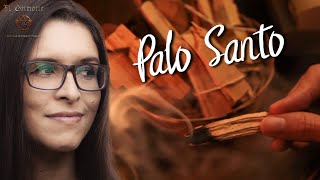 PALO SANTO 4 maneras y muchas razones para usarlo [upl. by Asserac]