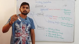 Plants Secondary MetabolitesCSIR NET In Hindi [upl. by Joachim]