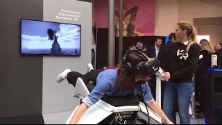 Volez comme un oiseau en réalité virtuelle [upl. by Montagna598]