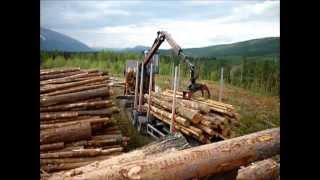 Volvo FH 660 Timber loading [upl. by Carnahan]