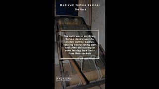 Facts About Medieval Torture Devices The Rack shorts [upl. by Raddy]