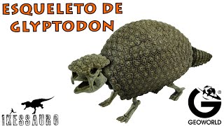 Esqueleto de Glyptodon Geoworld [upl. by Maurice513]