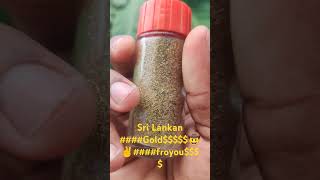 Sri Lankan Gold🤠✌️🇱🇰froyou [upl. by Alfonse]