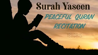 Quran recitation for sleep  Surah Yaseen  with English translations [upl. by Claus275]