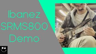 Ibanez SRMS800 Demo  Floof the Bassist [upl. by Atsirk]