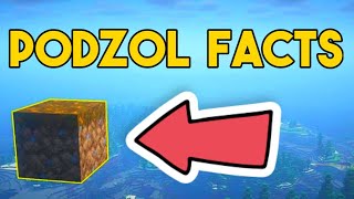 Minecraft Facts About Podzol That You Probably Didnt Know [upl. by Gathard]