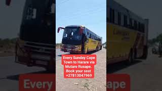 Cape Town to Checheche 🚌  Safe Cross Border Xpress Travel Guide CapeTown Zimbabwe Checheche [upl. by Yelsna]