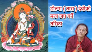 Dolma Mantra  How To Recite Dolma Mantra [upl. by Nollad82]