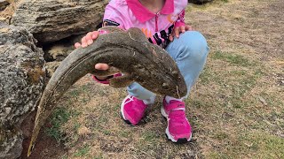 Outfished by my Daughter  Fishing Narrows Bridge South Perth [upl. by Weide604]