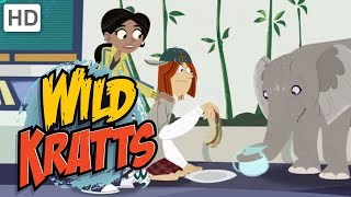 Wild Kratts  Protecting the Wildlife Around the World [upl. by Keavy]