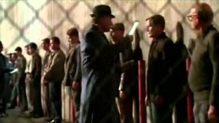 Gattaca  Trailer 1997 [upl. by Ardnasirk742]