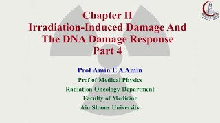 Basic Clinical Radiobiology Chapter 2 Lecture 4 [upl. by Orlosky]