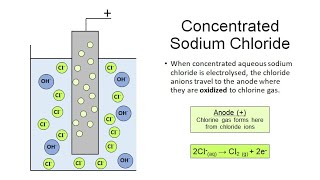 Electrolysis of Sodium Chloride for iGCSE Chemistry [upl. by Halet652]