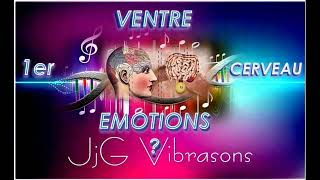 VENTRE amp DIGESTION  TON VENTRE GÈRE TES ÉMOTIONS  VERSION EMPIRIQUE  432 Hz  CERVEAU ENTERIQUE [upl. by Aihsenor171]