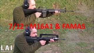 M16A1 amp FAMAS F1 Shooting behaviour Part 2 0712 [upl. by Cleaves]