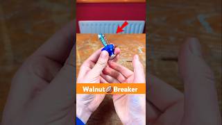 Walnut Breaker । अखरोट कैसे तोड़े [upl. by Nedla]