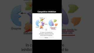 Competitive inhibition biology science neet education enzymes apbiology [upl. by Aneral]