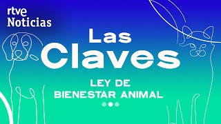 LEY BIENESTAR ANIMAL ¿En QUÉ CONSISTE ¿Qué CAMBIOS CONLLEVA en NUESTRO DÍA A DÍA  RTVE Noticias [upl. by Silvia]