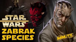 Zabrak Species Explained  Star Wars Explained [upl. by Llerrehs36]