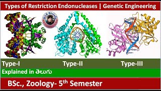 Types of Restriction Endonucleases  Genetic engineering  HSR Bioinfo [upl. by Nauqes]