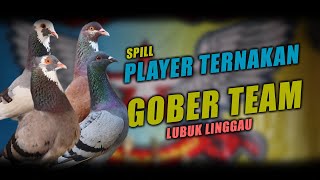 ✅SPILL PLAYER TERNAKAN TEAM GOBER LUBUK LINGGAU  MERPATI KOLONG [upl. by Francesco]