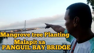 EP68 Mangrove tree Planting Malapit sa PANGUIL BAY BRIDGE [upl. by Thetis168]