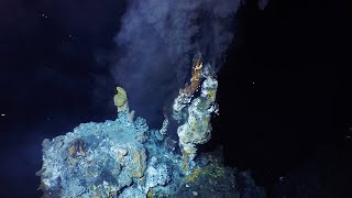 What are hydrothermal vents [upl. by Anit]