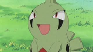 All Ashs Larvitar moves [upl. by Landis]