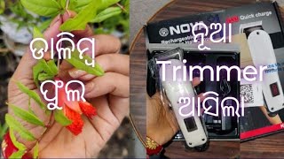 December 3 2024 ll daily vlog ll jay jagannath ll New Trimmer asila kanpai 🤔 ll ଡାଳିମ୍ବ ଫୁଲ ll food [upl. by Jacquenette]