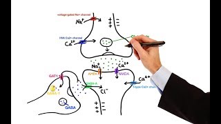 Pharmacology  ANTIEPILEPTIC DRUGS MADE EASY [upl. by Aihpledalihp]