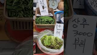 노지 깻잎 상추등 Perilla leaves and lettuce etc재래시장 koreanmarket koreanfood 시장 streetfood [upl. by Nas]