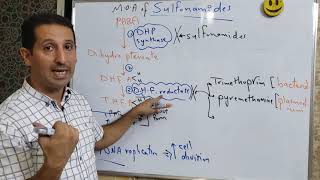 Antibiotics 11 Sulfonamides [upl. by Ahseel]