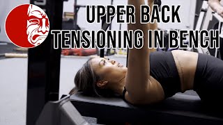 Scapular Movement in the Bench Press [upl. by Anny]