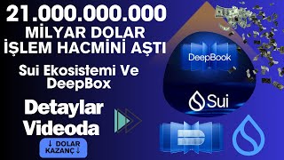 21 Milyar Dolar İşlem Hacmine Ulaşan Sui Ekosisteminin Sırları [upl. by Lathe]