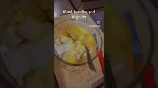 Most healthy biscuits your fur baby can ever have 🐶🐕 doglovers biscuit biscuitrecipes petlover 🐕 [upl. by Sadoff936]