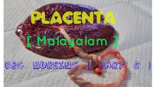 Malayalam Tutorial  OBG NURSING  PART 5  Placenta [upl. by Anaillil]