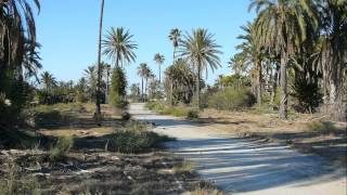 Monastir Hotel Sentido Rosa Beach and around [upl. by Novets]