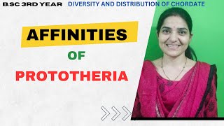 Affinities Of Prototheria BSc 2nd YearDiversity and Distribution Of ChordatesCore Paper v [upl. by Lainahtan]