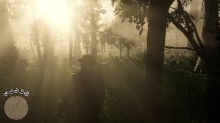 Red Dead Redemption 2 Stranger talk about Black Belle [upl. by Naened893]