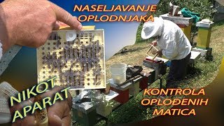 Naseljavanje oplodnjaka i kontrola oplodnje matice Nikot Aparat [upl. by Oberheim759]