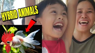 Ito ang nakakatawa hulaan mo lang  All about hybrid animals part 1  Edoy and Therrence Tv [upl. by Dryden]