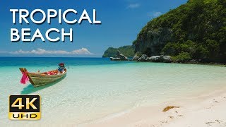 4K Tropical Beach  Relaxing Sea Ocean Wave Sounds amp Ultra HD Nature Video  Meditate Yoga Sleep [upl. by Rhynd]