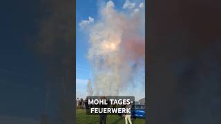 TagesFeuerwerk fireworks feuerwerk experiment vuurwerk silvester bigboom explosion shorts [upl. by Rafferty]