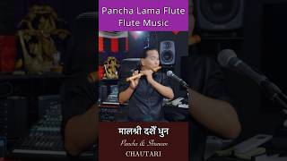 Dashain Dhun  Malashree  Bansuri  Basuri  Flute Music  Instrumental flute flutemusic shorts [upl. by Sidran646]