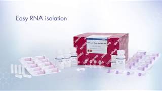 RNeasy FFPE Kit Purify total RNA from FFPE tissue sections [upl. by Weingartner495]